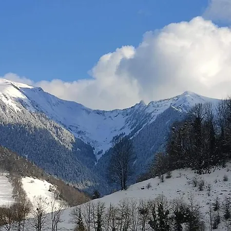 Шале Le Des Nounours